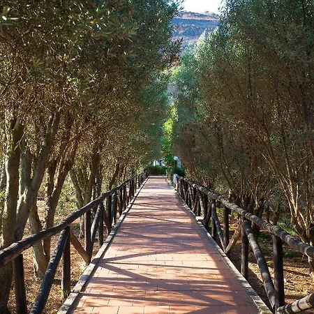Voi Tropea Essentia